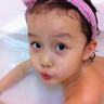 蒲公英
